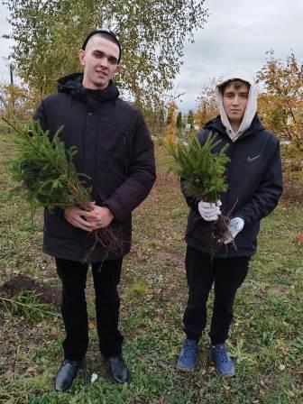 «Аллеи выпускников».